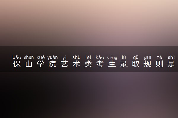 保山学院艺术类考生录取规则是怎样的 有哪些要求