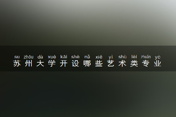 苏州大学开设哪些艺术类专业 什么专业前景好