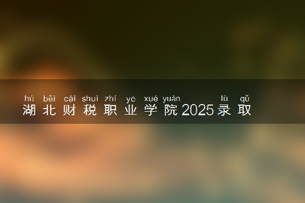 湖北财税职业学院2025录取分数线整理 最低多少分可以考上