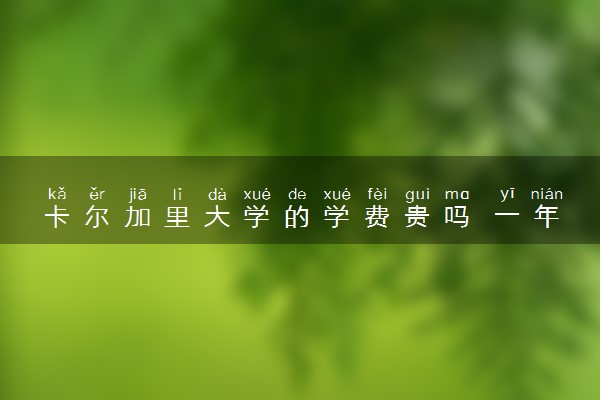 卡尔加里大学的学费贵吗 一年大概多少钱