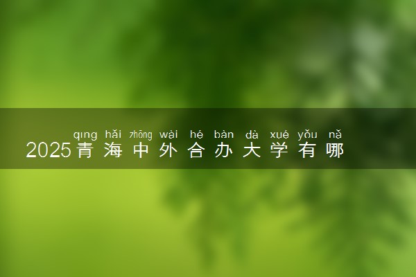 2025青海中外合办大学有哪些 本专硕博院校名单汇总