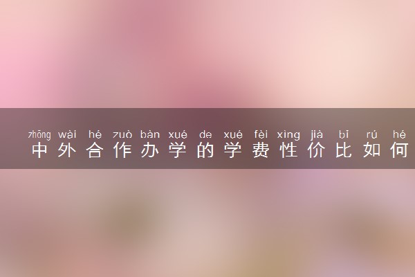 中外合作办学的学费性价比如何 师资力量怎么样