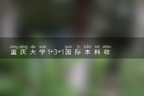 重庆大学1+3+1国际本科收费标准 学费多少钱
