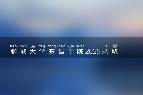聊城大学东昌学院2025录取分数线整理 最低多少分可以考上