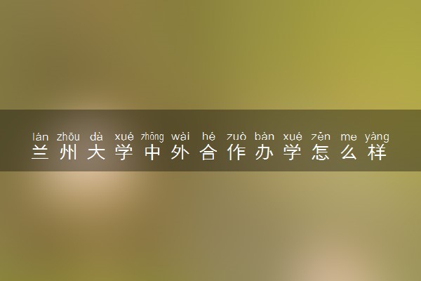 兰州大学中外合作办学怎么样 是可靠的吗