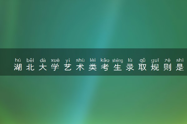 湖北大学艺术类考生录取规则是怎样的 有哪些要求