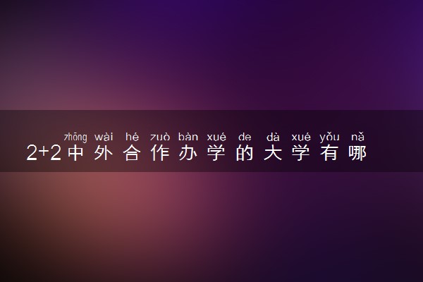 2+2中外合作办学的大学有哪几所 值得报考吗