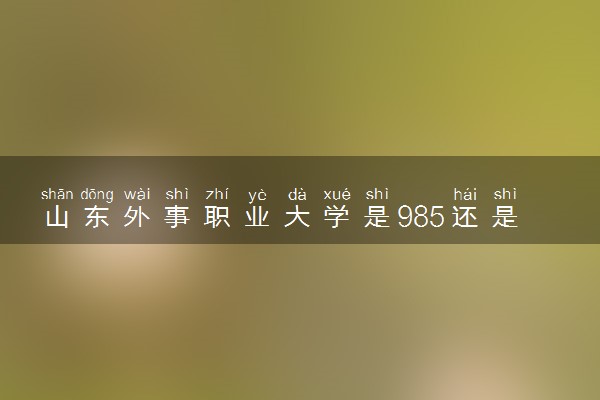 山东外事职业大学是985还是211 含金量怎么样