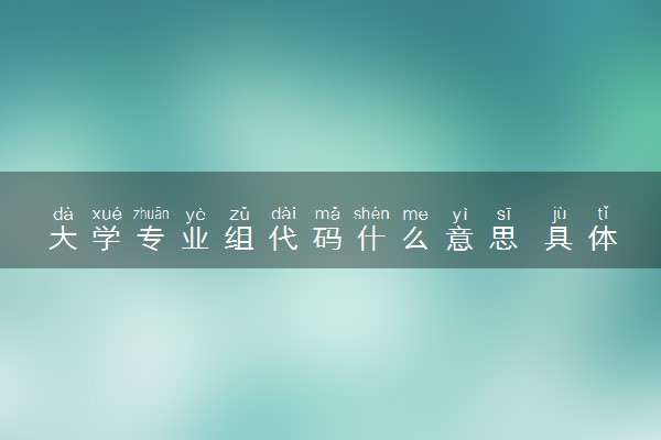大学专业组代码什么意思 具体怎么查询
