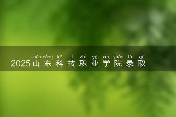 2025山东科技职业学院录取分数线是多少 各省最低分数线汇总