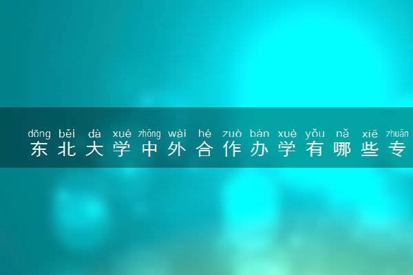 东北大学中外合作办学有哪些专业可选 含金量高吗