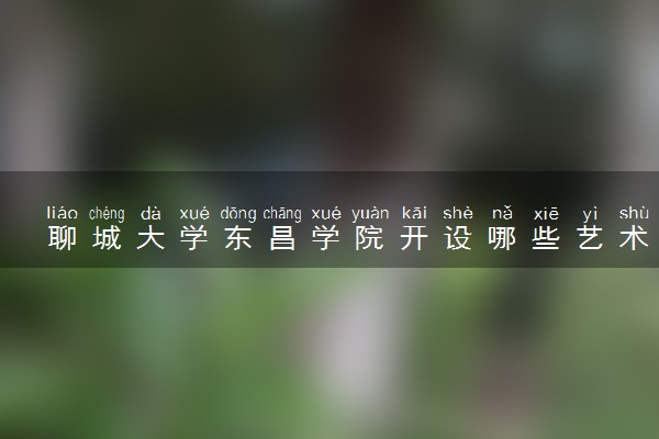 聊城大学东昌学院开设哪些艺术类专业 什么专业前景好