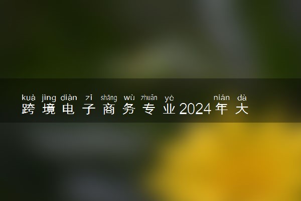 跨境电子商务专业2024年大学排名 最好的大学排行榜