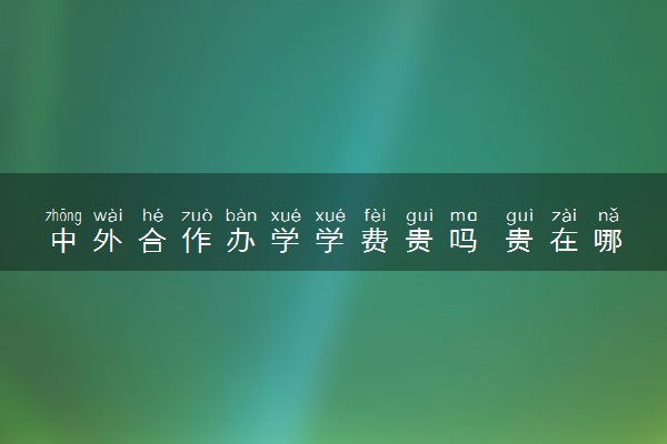 中外合作办学学费贵吗 贵在哪里