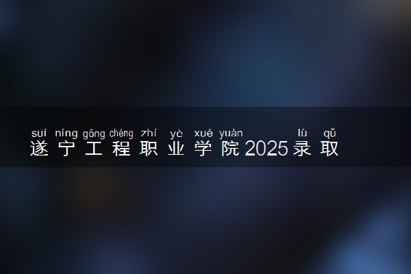 遂宁工程职业学院2025录取分数线整理 最低多少分可以考上
