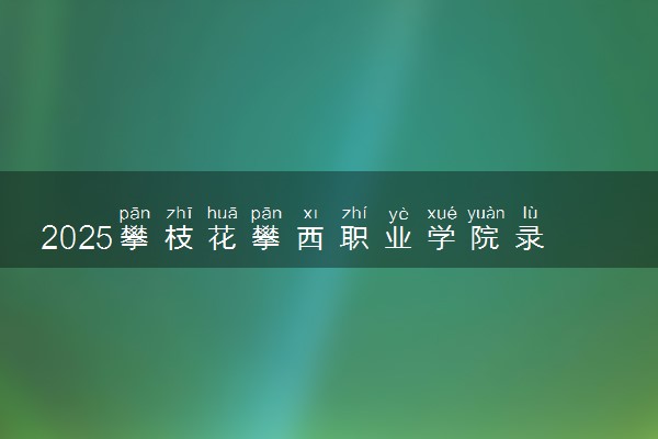 2025攀枝花攀西职业学院录取分数线是多少 各省最低分数线汇总