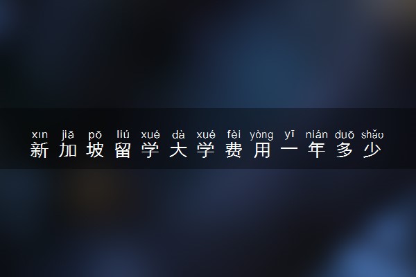 新加坡留学大学费用一年多少 值得去读吗