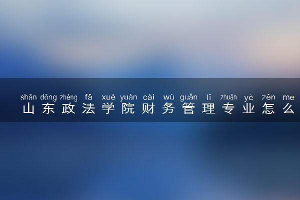 山东政法学院财务管理专业怎么样 录取分数线多少