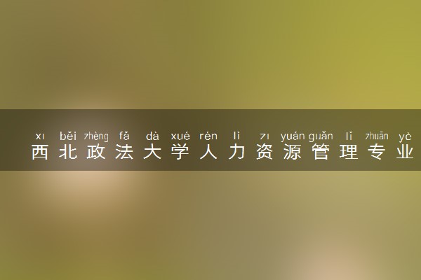西北政法大学人力资源管理专业怎么样 录取分数线多少