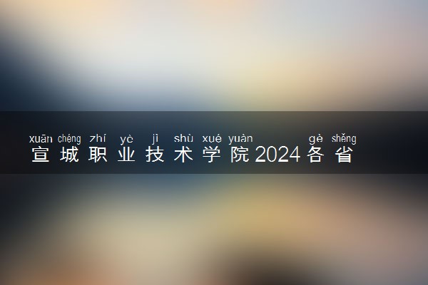 宣城职业技术学院2024各省录取分数线及最低位次是多少