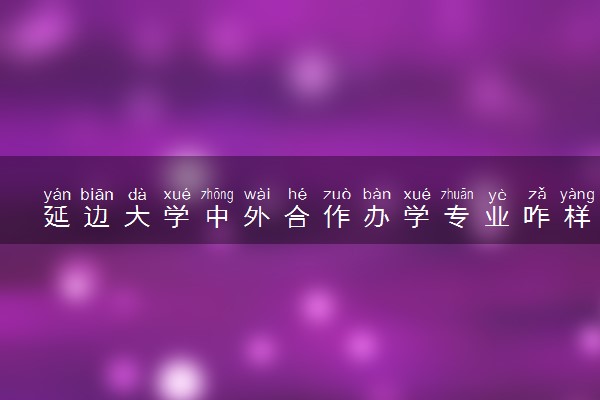 延边大学中外合作办学专业咋样 值得报考吗