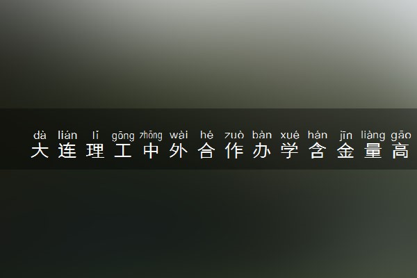 大连理工中外合作办学含金量高吗 学费是多少