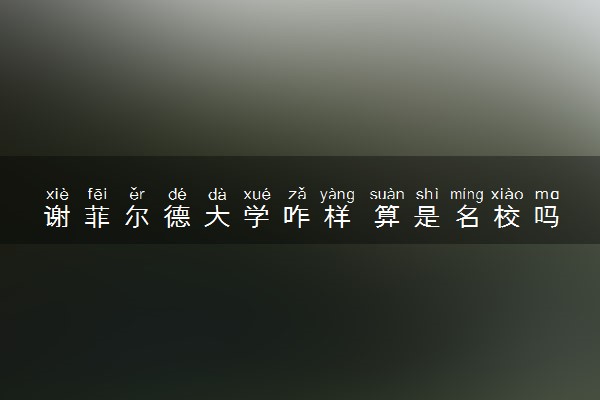 谢菲尔德大学咋样 算是名校吗