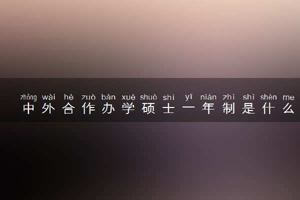 中外合作办学硕士一年制是什么 含金量高吗