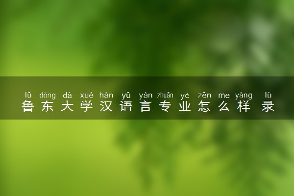 鲁东大学汉语言专业怎么样 录取分数线多少