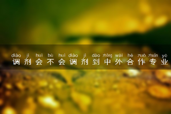 调剂会不会调剂到中外合作专业 有必要去吗