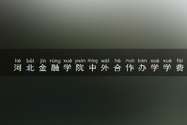 河北金融学院中外合作办学学费 就业前景如何