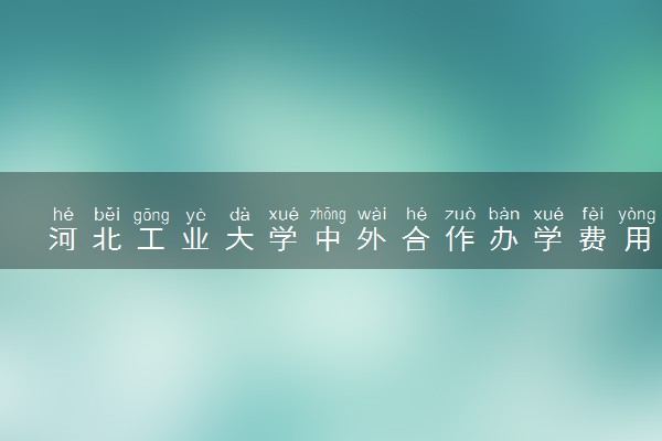 河北工业大学中外合作办学费用 值得读吗