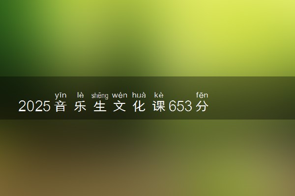 2025音乐生文化课653分能上南京理工大学吗