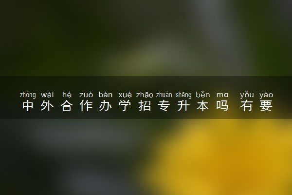 中外合作办学招专升本吗 有要求吗