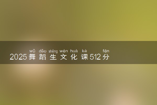 2025舞蹈生文化课512分能上湖南科技大学吗