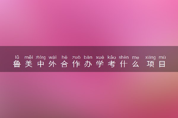 鲁美中外合作办学考什么 项目好考吗