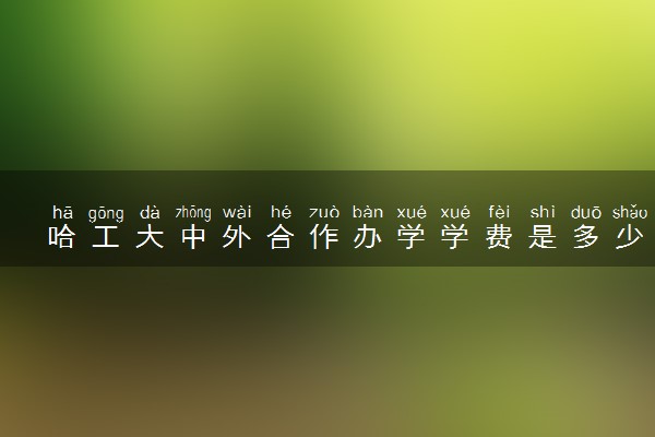 哈工大中外合作办学学费是多少 录取几率大吗