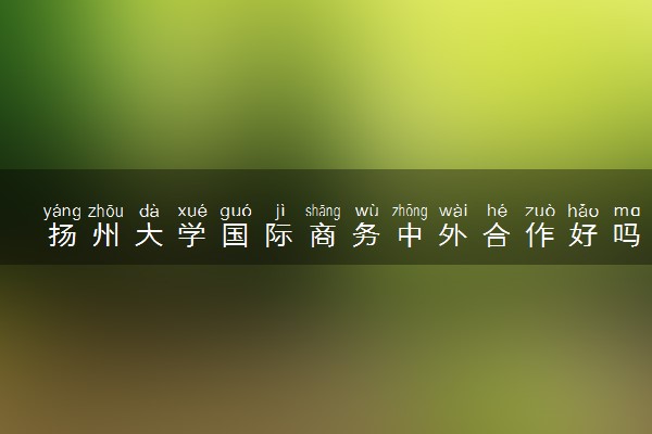 扬州大学国际商务中外合作好吗 毕业后是什么文凭