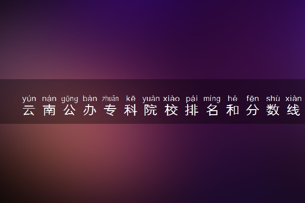 云南公办专科院校排名和分数线多少（2025年参考）