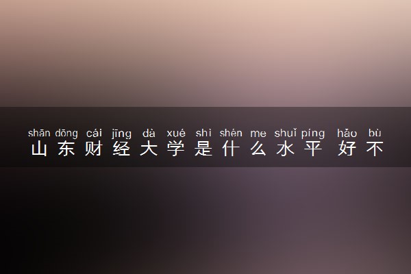山东财经大学是什么水平 好不好考