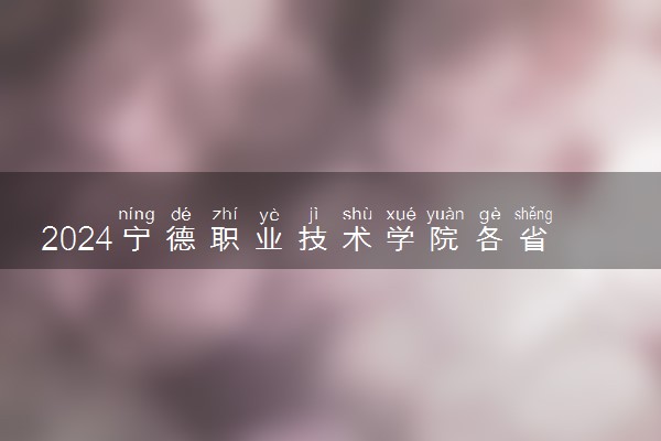 2024宁德职业技术学院各省录取分数线是多少 最低分及位次