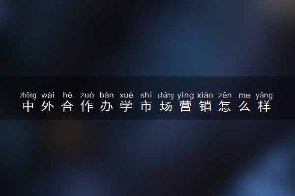 中外合作办学市场营销怎么样 哪个学校好  ‌