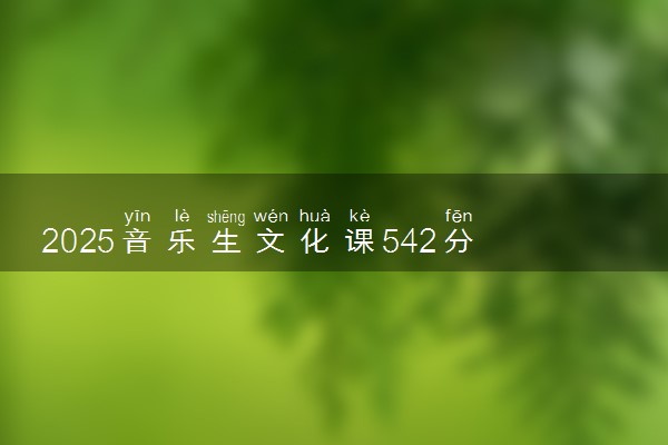 2025音乐生文化课542分能上北京石油化工学院吗