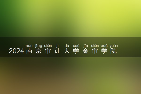 2024南京审计大学金审学院在辽宁录取分数线 各专业分数及位次
