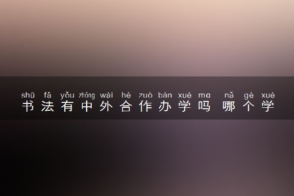 书法有中外合作办学吗 哪个学校好