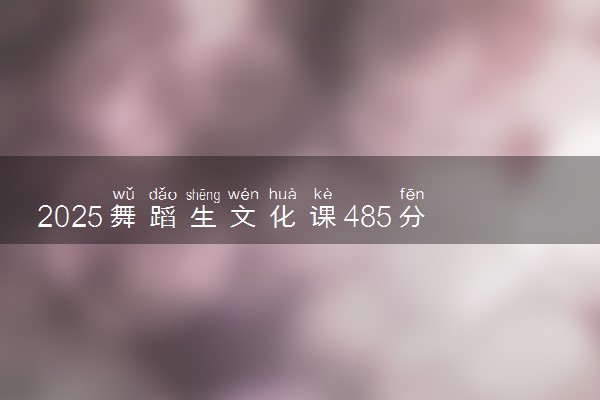 2025舞蹈生文化课485分能上许昌学院吗