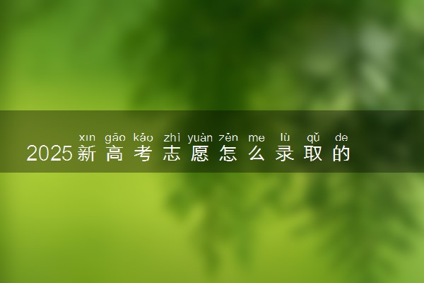 2025新高考志愿怎么录取的 有哪些录取规则