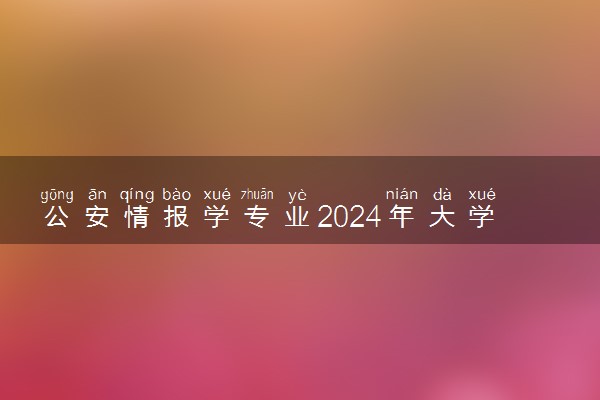 公安情报学专业2024年大学排名 最好的大学排行榜