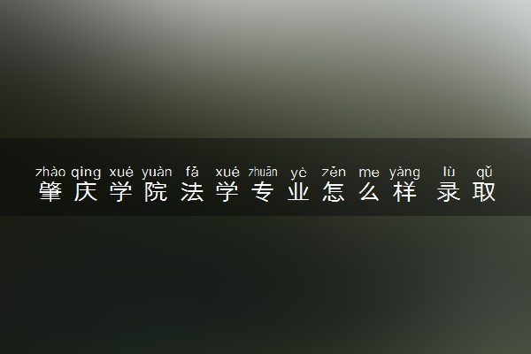 肇庆学院法学专业怎么样 录取分数线多少