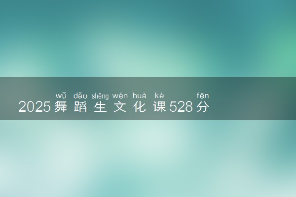 2025舞蹈生文化课528分能上昆明理工大学吗